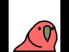 https://image.noelshack.com/fichiers/2018/49/5/1544208431-parrot.gif