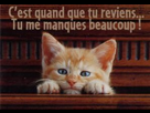 https://image.noelshack.com/fichiers/2018/49/7/1544389059-reviens-vite.jpg