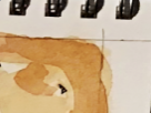 https://image.noelshack.com/fichiers/2018/50/1/1544443223-6-9rvvkyr4.png
