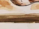 https://image.noelshack.com/fichiers/2018/50/1/1544443225-45-9rvvkyr4.png