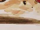 https://image.noelshack.com/fichiers/2018/50/1/1544443225-46-9rvvkyr4.png