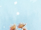 https://image.noelshack.com/fichiers/2018/50/2/1544555204-12-k98mepc6.png