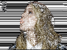 https://image.noelshack.com/fichiers/2018/50/3/1544603005-tumblr-p7ahes2nsx1rk1o2go1-500.gif