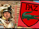 https://image.noelshack.com/minis/2018/50/5/1544826330-paxromana2-paz.png