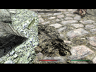 https://image.noelshack.com/fichiers/2018/51/1/1545051719-skyrim-special-edition-17-12-2018-13-47-14.png