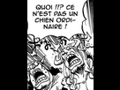 https://image.noelshack.com/fichiers/2018/51/5/1545431171-ouah2.jpg