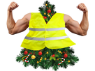 https://image.noelshack.com/minis/2018/51/6/1545511918-sapin-jaune-muscle.png