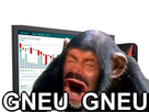 https://image.noelshack.com/fichiers/2018/51/7/1545559728-1508345431-singetrader.png