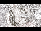 https://image.noelshack.com/fichiers/2018/51/7/1545566030-4460190d0653b4c05b124a63276766d6.gif