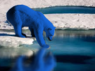 https://image.noelshack.com/fichiers/2018/51/7/1545574708-ours-bleu-bois.png