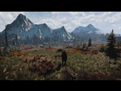 https://image.noelshack.com/fichiers/2018/52/4/1545933390-the-witcher-36.png