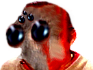 https://image.noelshack.com/fichiers/2018/52/6/1546121710-94570.png