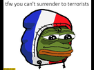 https://image.noelshack.com/fichiers/2018/52/7/1546184888-that-feeling-when-you-cant-surrender-to-terrorists-france-sad-frog.jpg