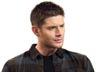 https://image.noelshack.com/fichiers/2019/01/2/1546368815-ackles2.png