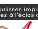 https://image.noelshack.com/fichiers/2019/01/2/1577751906-3-36h4ywp5.png