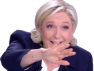 https://image.noelshack.com/fichiers/2019/01/4/1546543077-1493849194-marinepenmalaise.png