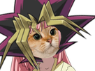 https://image.noelshack.com/fichiers/2019/01/4/1546554079-mariko-yugi-chat.png