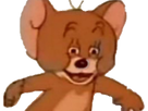 https://image.noelshack.com/fichiers/2019/01/7/1546734741-1537050674-jerry3.png