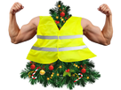 https://image.noelshack.com/fichiers/2019/01/7/1546801813-1545511918-sapin-jaune-muscle.png