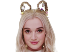 https://image.noelshack.com/fichiers/2019/02/1/1546881471-poppy3.png