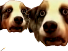 https://image.noelshack.com/minis/2019/02/1/1546895181-1535924170-vide-50.png