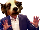 https://image.noelshack.com/fichiers/2019/02/1/1546898519-1535924170-vide-58.png