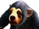 https://image.noelshack.com/minis/2019/02/2/1546956060-chienge.png