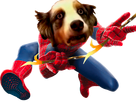 https://image.noelshack.com/minis/2019/02/2/1546961190-spiderchien.png