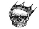https://image.noelshack.com/fichiers/2019/02/3/1547052581-craneroi.png