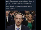 https://image.noelshack.com/fichiers/2019/02/5/1547199506-fb-img-1546703105770.jpg