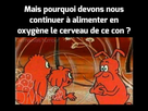 https://image.noelshack.com/fichiers/2019/03/2/1547545303-img-20181227-210720.jpg