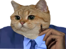 https://image.noelshack.com/fichiers/2019/03/3/1547638563-1547573383-1528241955-lechaent31.png
