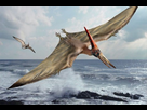 https://image.noelshack.com/fichiers/2019/03/4/1547740091-1547726447-pteranodon-9dc9.jpg