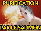 https://image.noelshack.com/fichiers/2019/03/5/1547801987-purification-saumon.png