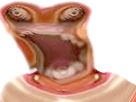 https://image.noelshack.com/fichiers/2019/03/5/1547802007-74332-full.jpg