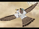 https://image.noelshack.com/fichiers/2019/03/5/1547848672-pell-s-full-falcon-form.png