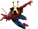 https://image.noelshack.com/fichiers/2019/03/7/1548017074-122601-full.png
