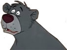 https://image.noelshack.com/fichiers/2019/04/1/1548079411-baloo2.png