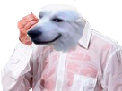 https://image.noelshack.com/fichiers/2019/04/1/1548095303-16123-full.png