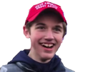 https://image.noelshack.com/fichiers/2019/04/2/1548166902-nicholassandmann.png