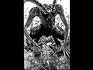 https://image.noelshack.com/fichiers/2019/04/2/1548182137-89106ff9-f63b-40c7-bf12-281f6a941a09.jpg