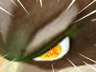 https://image.noelshack.com/fichiers/2019/04/2/1548191539-fox-496-v4.gif