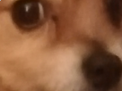 https://image.noelshack.com/minis/2019/04/4/1548360544-1-dpyawen0.png