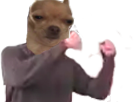 https://image.noelshack.com/fichiers/2019/04/5/1548437938-32107-thumb.png