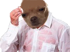 https://image.noelshack.com/fichiers/2019/04/5/1548438442-22961-thumb.png