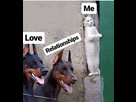 https://image.noelshack.com/fichiers/2019/04/7/1548544416-fb-img-1548476207756.jpg
