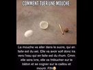 https://image.noelshack.com/fichiers/2019/04/7/1548627132-image-mouche.png