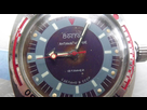 Identification Amphibia 1548671974-48394941-2159835670935409-7830939606517284864-o