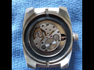 Identification Amphibia 1548674802-img-20190128-121102