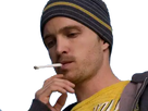 https://image.noelshack.com/fichiers/2019/05/3/1548876808-1531689979-jesse2.png